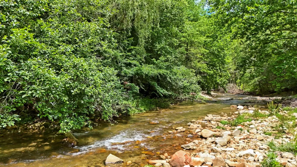 6740 Timber Rock Drive Lenoir, NC 28645