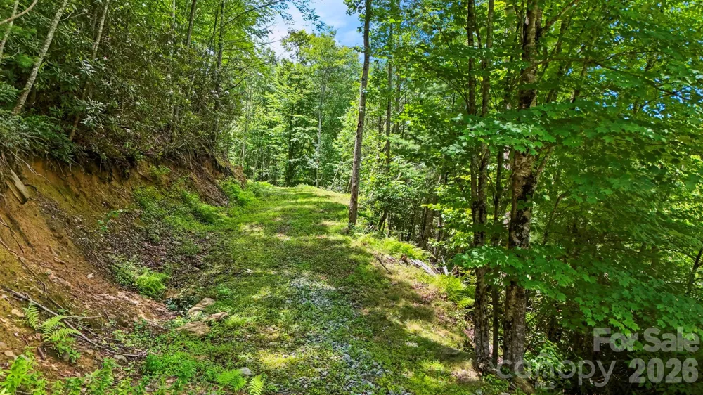 6740 Timber Rock Drive Lenoir, NC 28645
