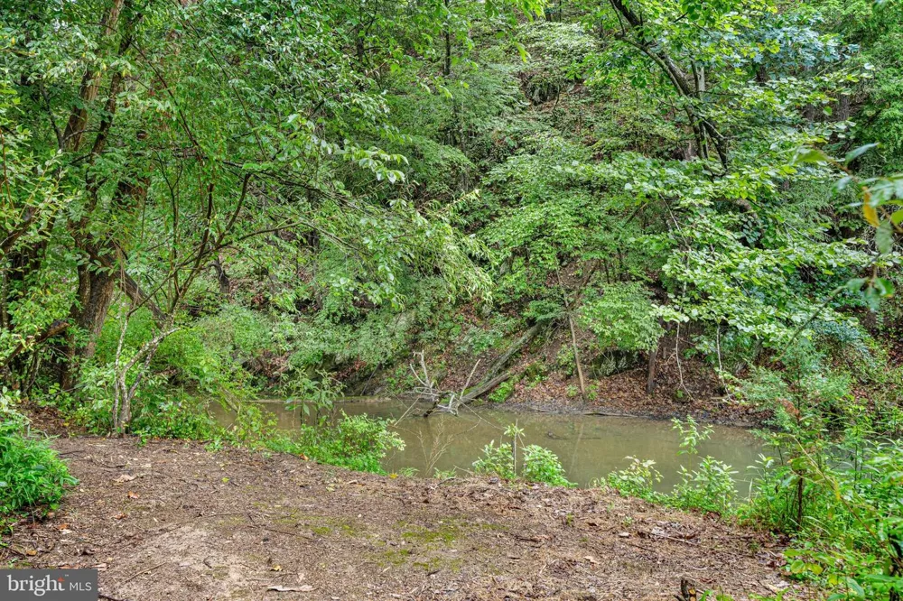 223 LUXOR COURT Bunker Hill, WV 25413
