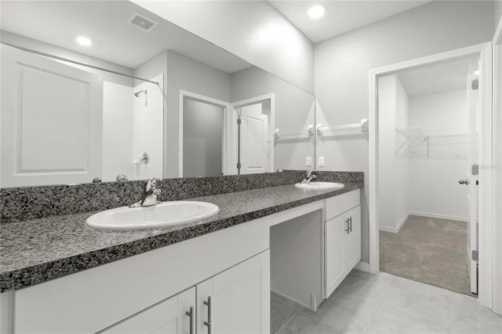 10217 SUMMER KISS AVENUE Riverview, FL 33578