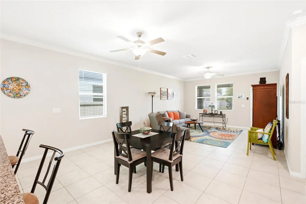 8948 FLOURISH DRIVE Land O Lakes, FL 34637