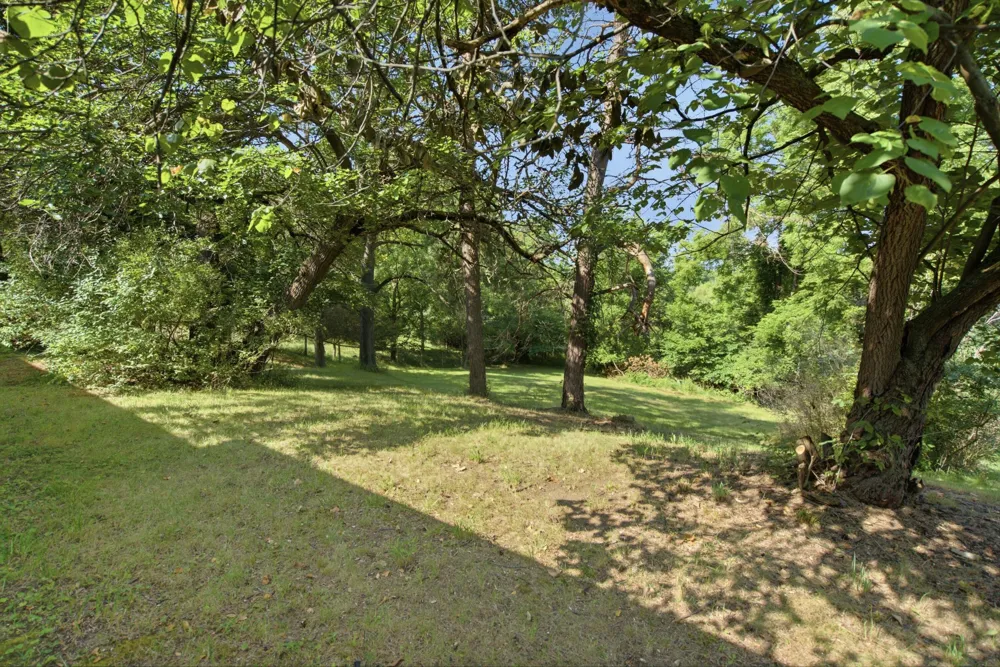 9835 Dexter-Pinckney Road Dexter Township, MI 48169