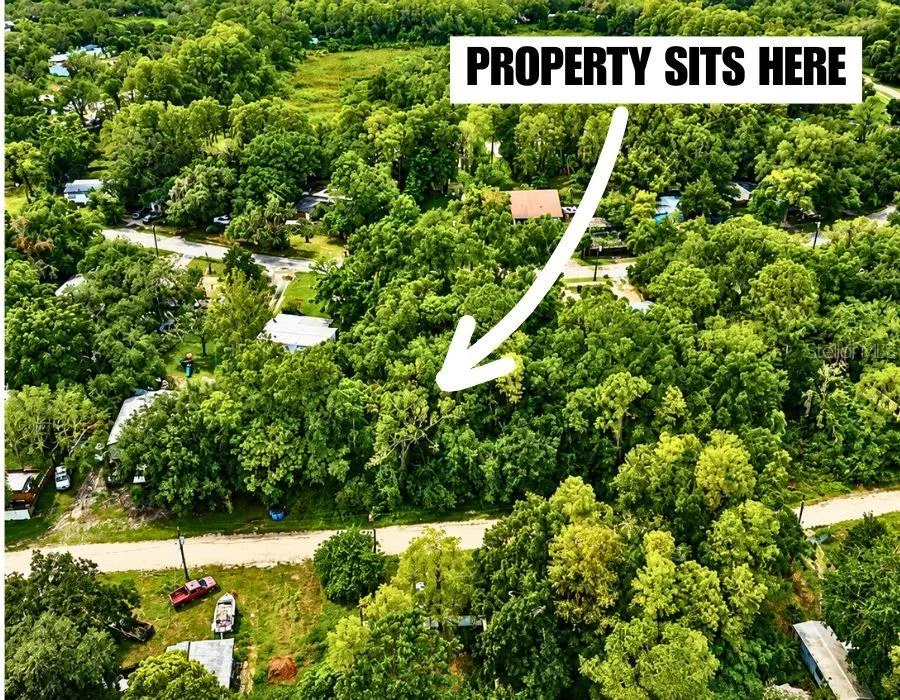 FERN STREET New Port Richey, FL 34654