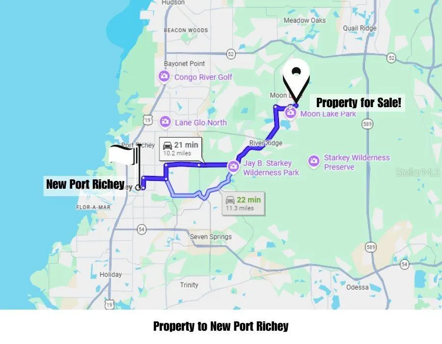 FERN STREET New Port Richey, FL 34654