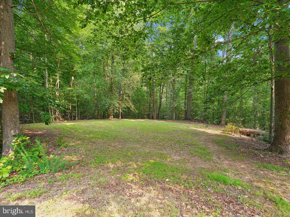 8253 HONEYSUCKLE ROAD Manassas, VA 20112