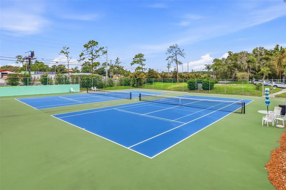 2533 DOLLY BAY DRIVE #105 Palm Harbor, FL 34684