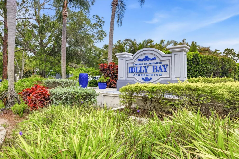 2533 DOLLY BAY DRIVE #105 Palm Harbor, FL 34684