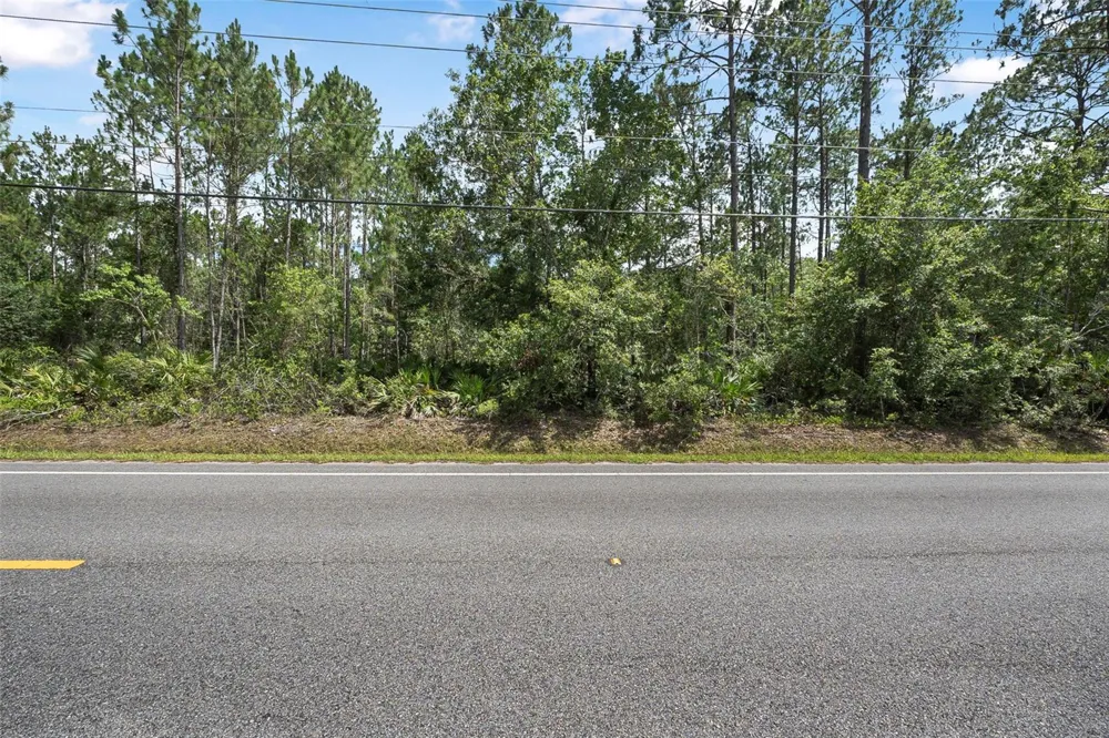 5875 MAHOGANY BOULEVARD Bunnell, FL 32110