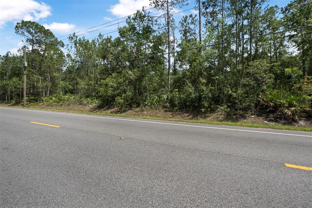 5875 MAHOGANY BOULEVARD Bunnell, FL 32110