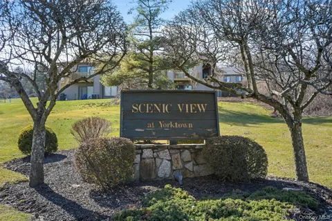 62 Scenic View #6B