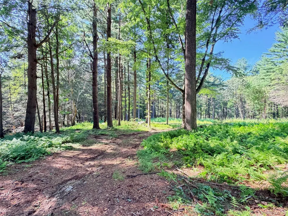 340 Haines Road Bedford Hills, NY 10507