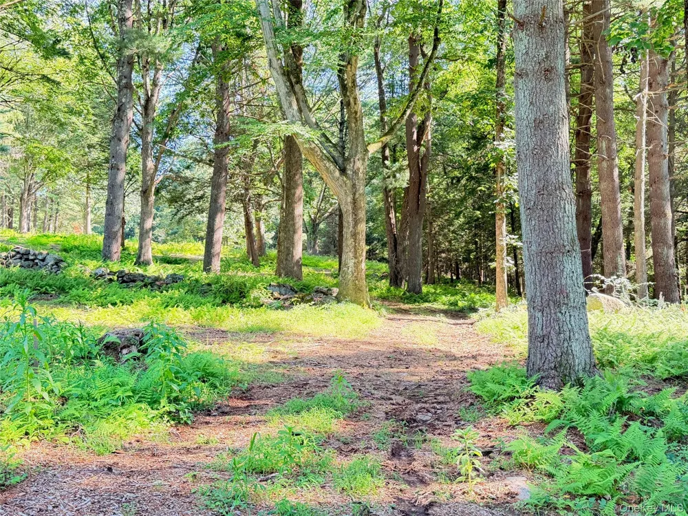 340 Haines Road Bedford Hills, NY 10507