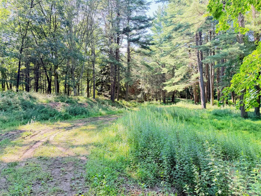 340 Haines Road Bedford Hills, NY 10507