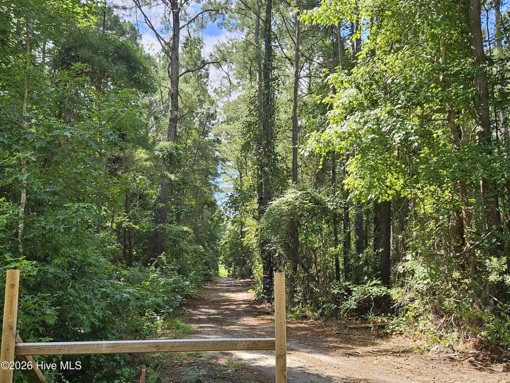 Wl33 E E Waterway Drive (Wl33) Drive Belhaven, NC 27810