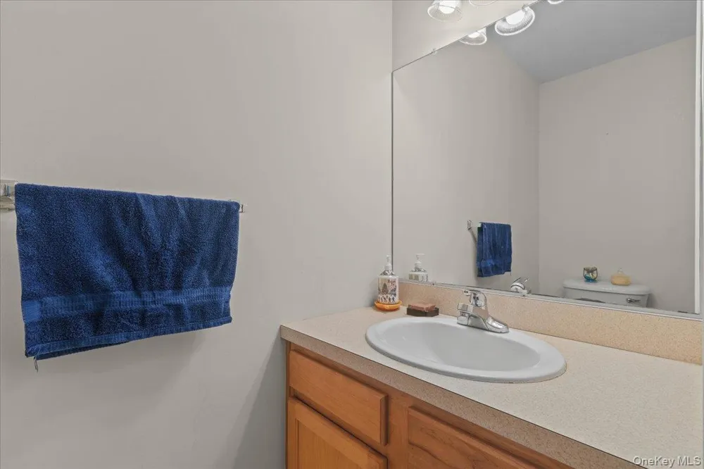 203 Alexandra Court Carmel, NY 10512