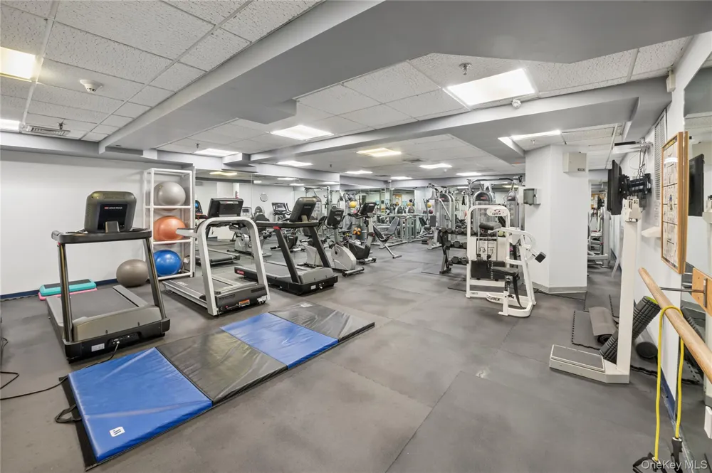 25 Rockledge Avenue #PH11 White Plains, NY 10601