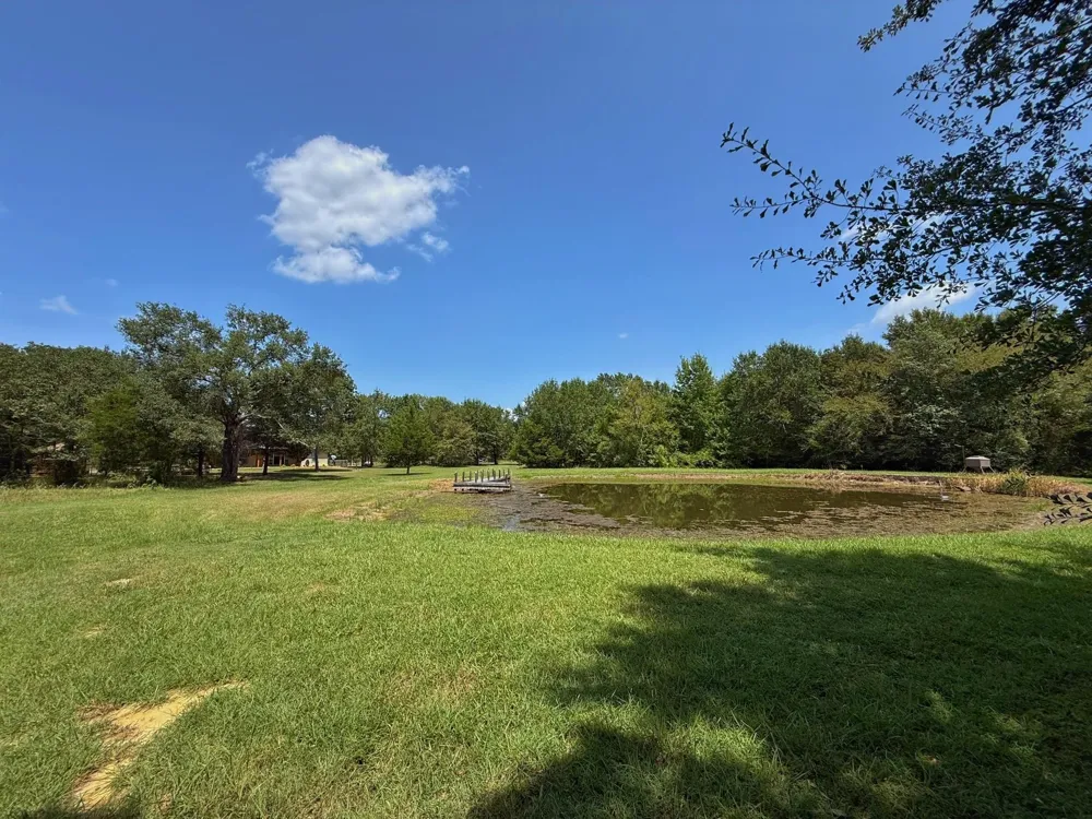 11381 Cr 245 Oakwood, TX 75855