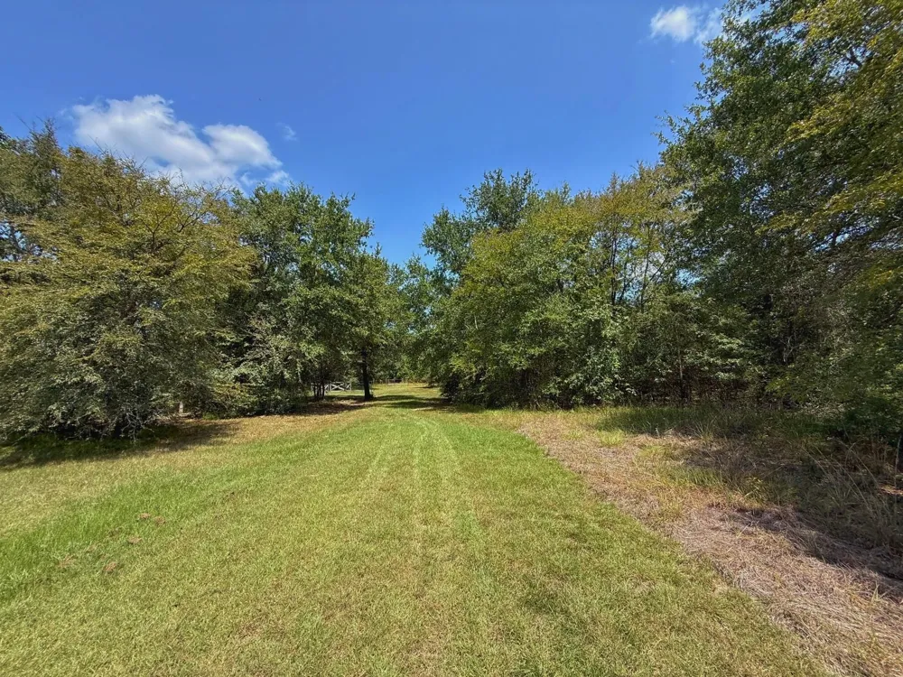 11381 Cr 245 Oakwood, TX 75855