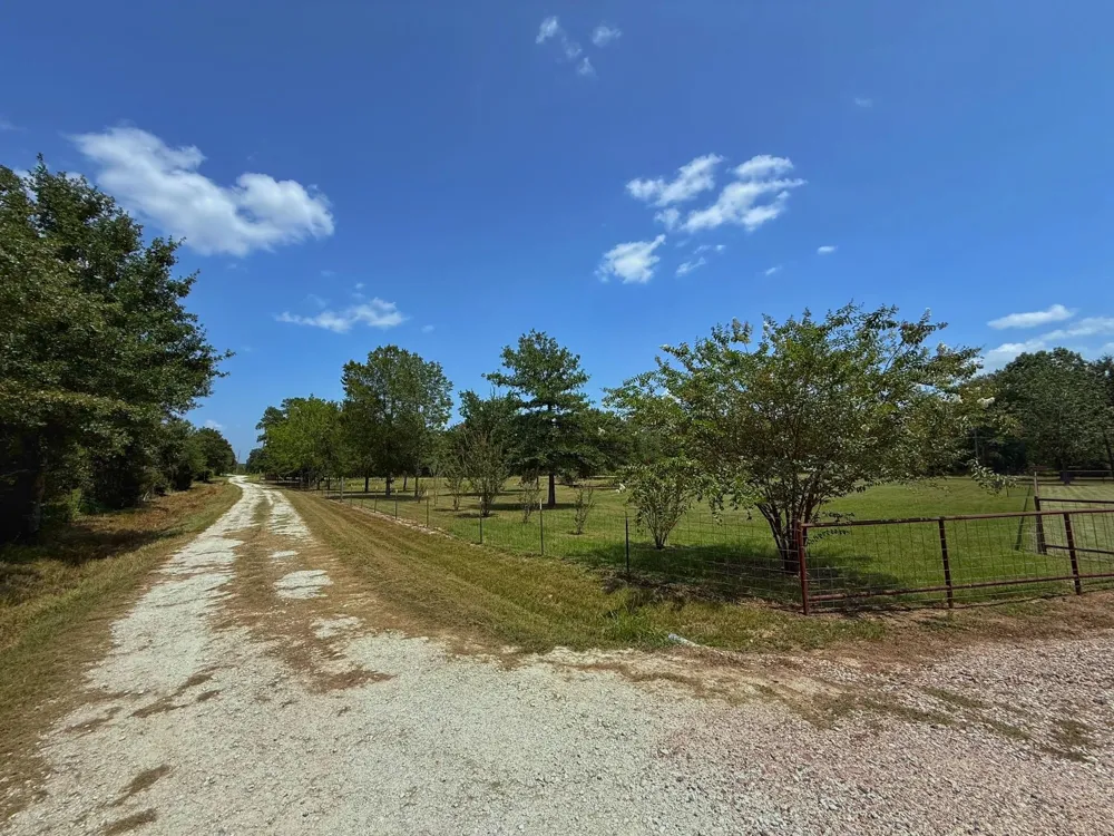 11381 Cr 245 Oakwood, TX 75855
