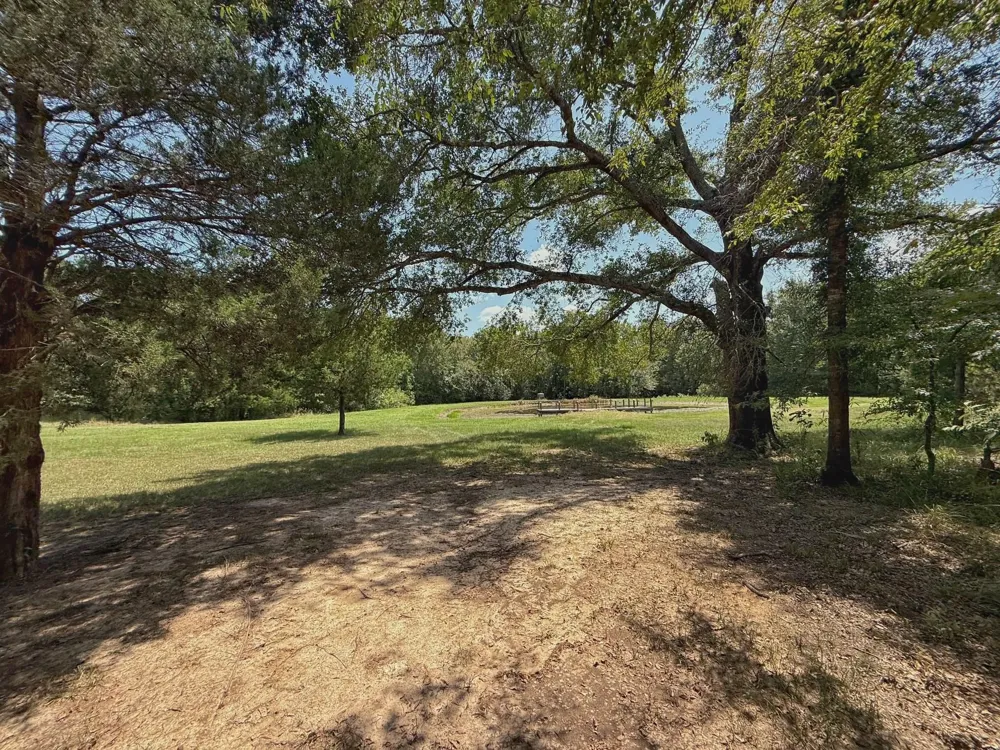 11381 Cr 245 Oakwood, TX 75855
