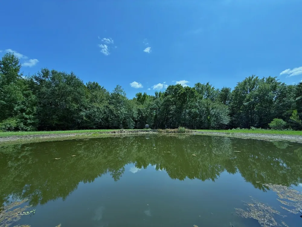 11381 Cr 245 Oakwood, TX 75855