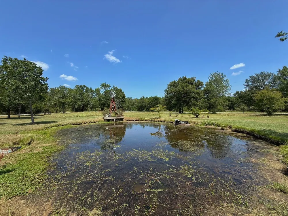 11381 Cr 245 Oakwood, TX 75855