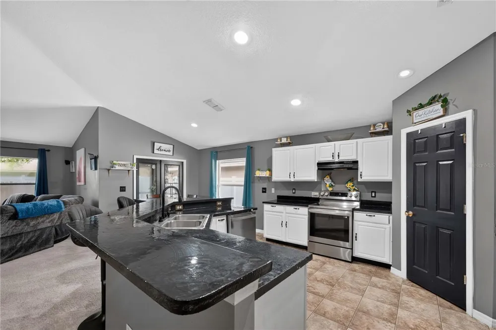 2020 BRIARCLIFF CIRCLE Mount Dora, FL 32757