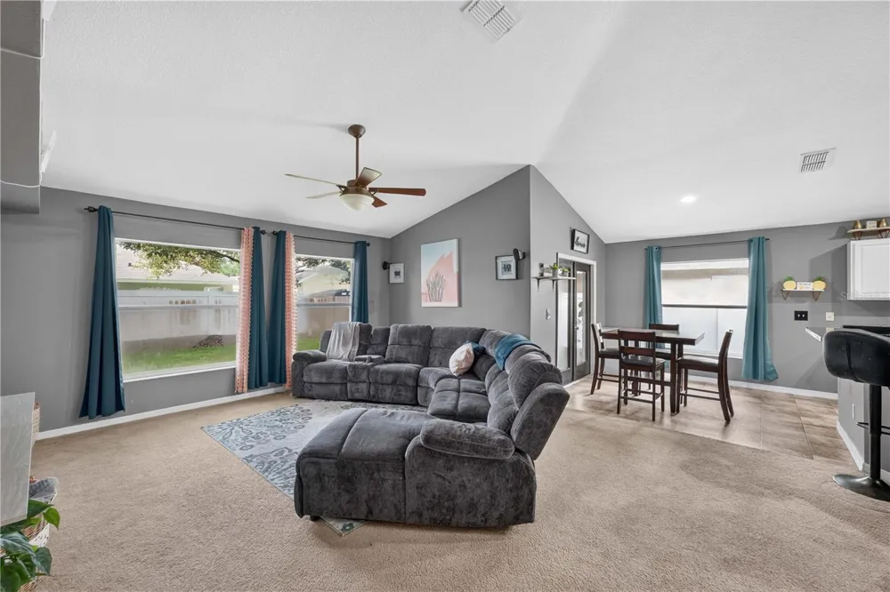 2020 BRIARCLIFF CIRCLE Mount Dora, FL 32757