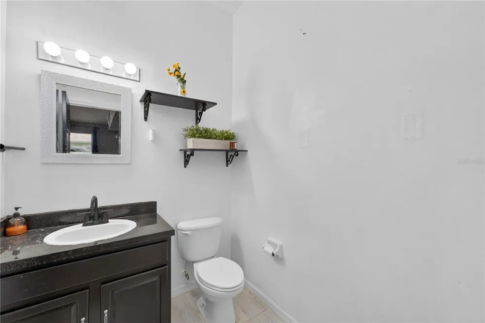 2020 BRIARCLIFF CIRCLE Mount Dora, FL 32757