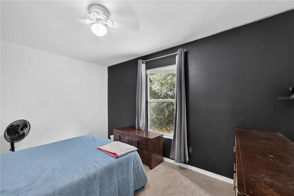 2020 BRIARCLIFF CIRCLE Mount Dora, FL 32757