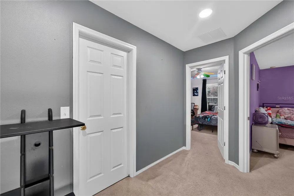 2020 BRIARCLIFF CIRCLE Mount Dora, FL 32757