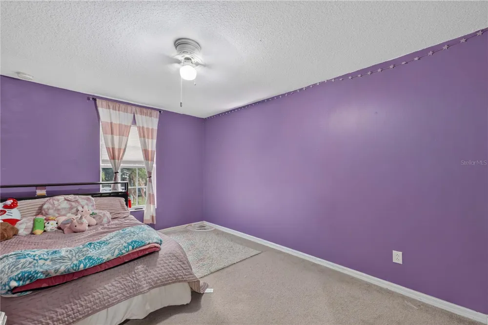 2020 BRIARCLIFF CIRCLE Mount Dora, FL 32757