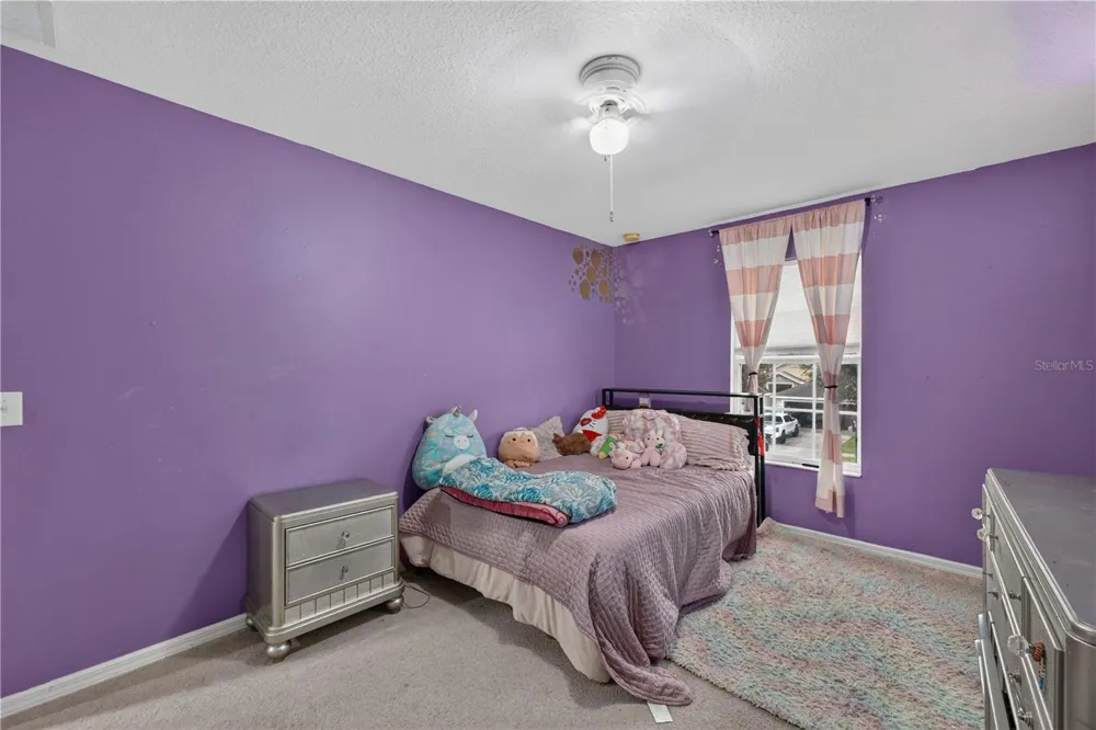 2020 BRIARCLIFF CIRCLE Mount Dora, FL 32757