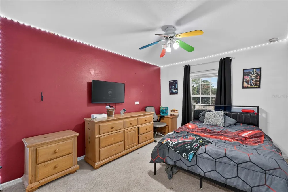 2020 BRIARCLIFF CIRCLE Mount Dora, FL 32757
