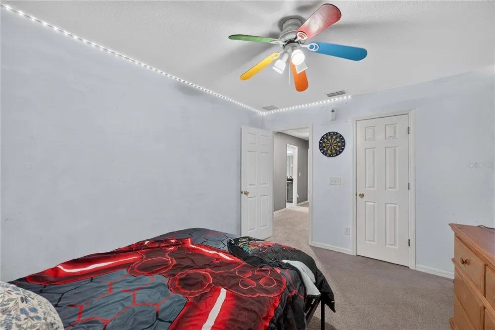 2020 BRIARCLIFF CIRCLE Mount Dora, FL 32757
