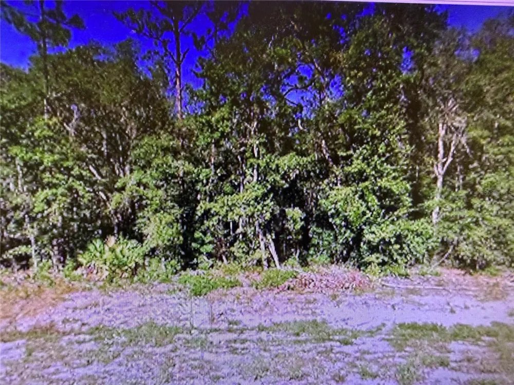 0 CHIPO ST Interlachen, FL 32148