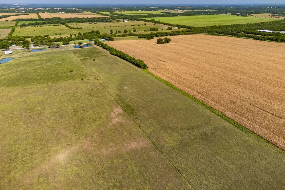 1015 CR 5010 Blue Ridge, TX 75424