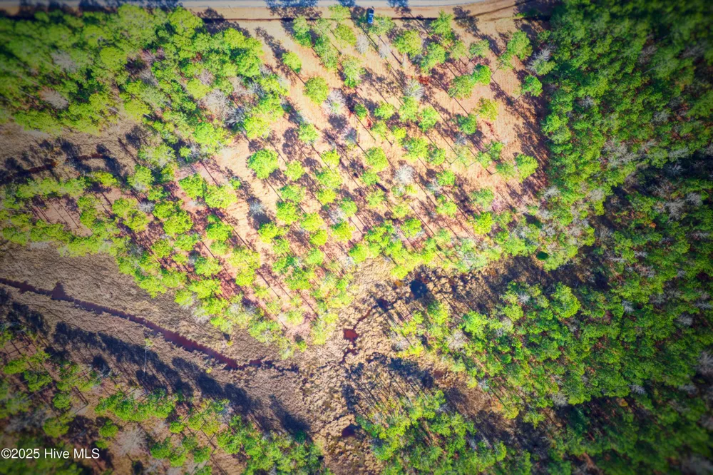 203 Paradox Point Drive Aurora, NC 27806