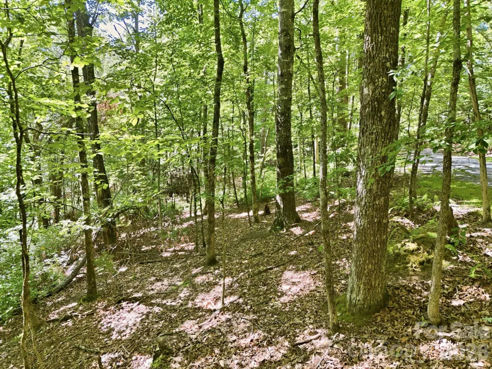 0 Mulberry Circle #J-104 Brevard, NC 28712