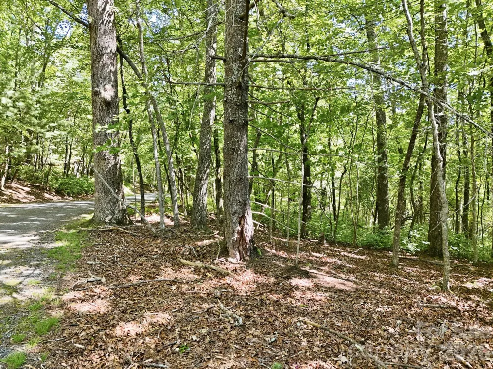 0 Mulberry Circle #J-104 Brevard, NC 28712