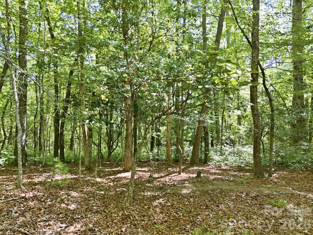 0 Mulberry Circle #J-104 Brevard, NC 28712