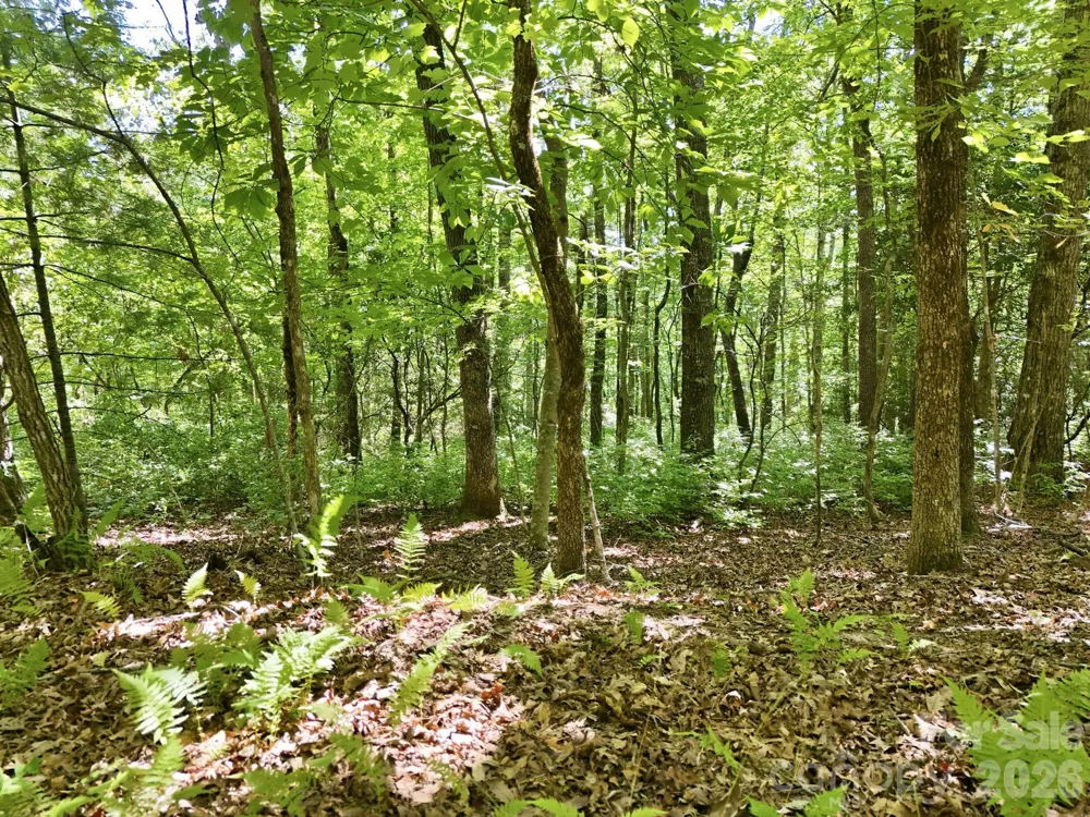 0 Mulberry Circle #J-104 Brevard, NC 28712