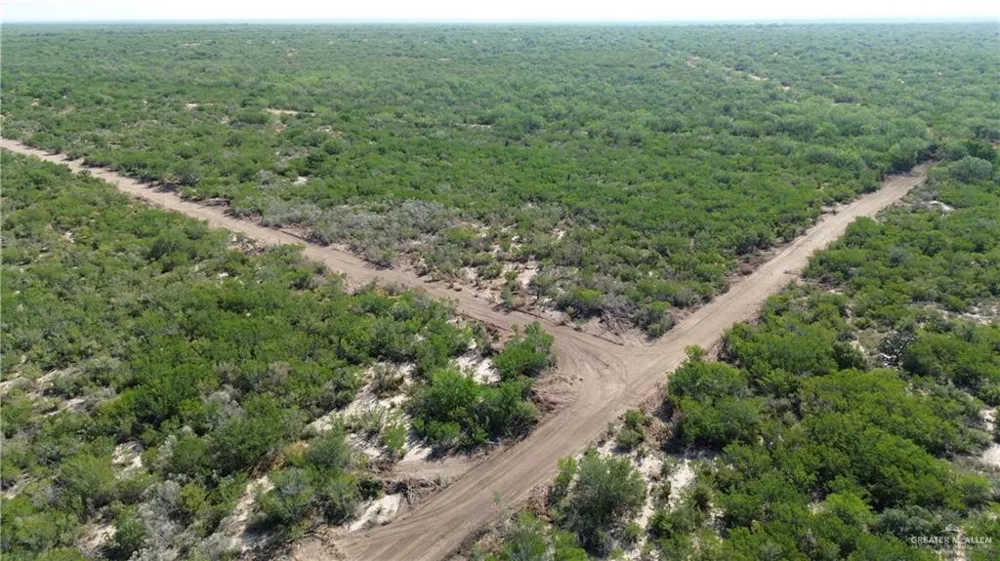 Tract 3 FM 2687 Zapata, TX 78076
