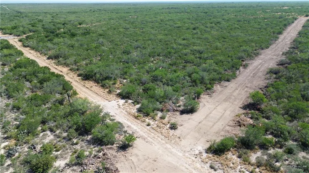 Tract 3 FM 2687 Zapata, TX 78076