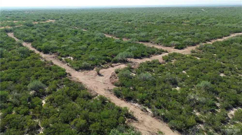 Tract 3 FM 2687 Zapata, TX 78076