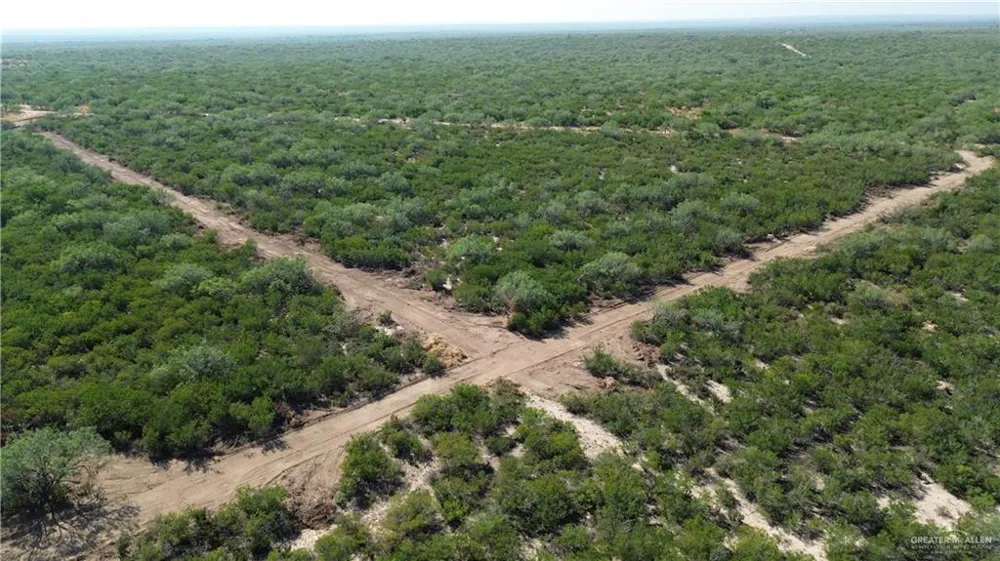 Tract 3 FM 2687 Zapata, TX 78076