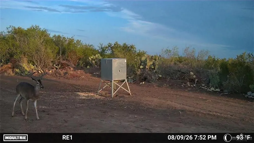 Tract 3 FM 2687 Zapata, TX 78076