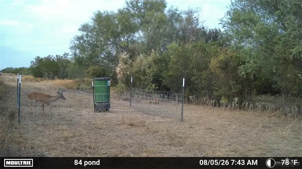 Tract 3 FM 2687 Zapata, TX 78076