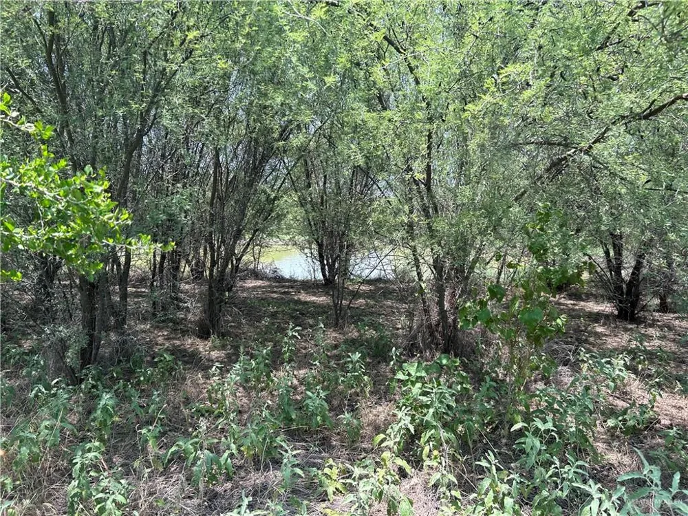Tract 3 FM 2687 Zapata, TX 78076
