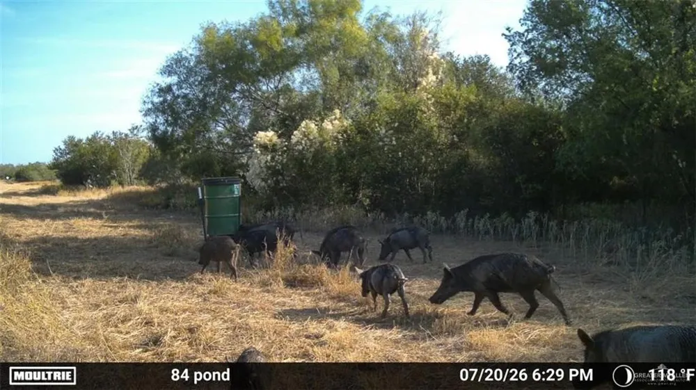 Tract 3 FM 2687 Zapata, TX 78076